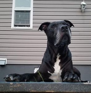 Meet your Posher, Jeannie